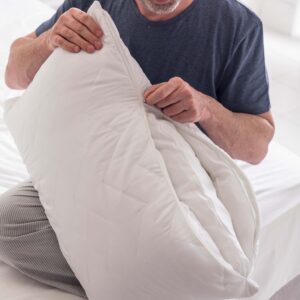 Silentnight Perfect Pillow